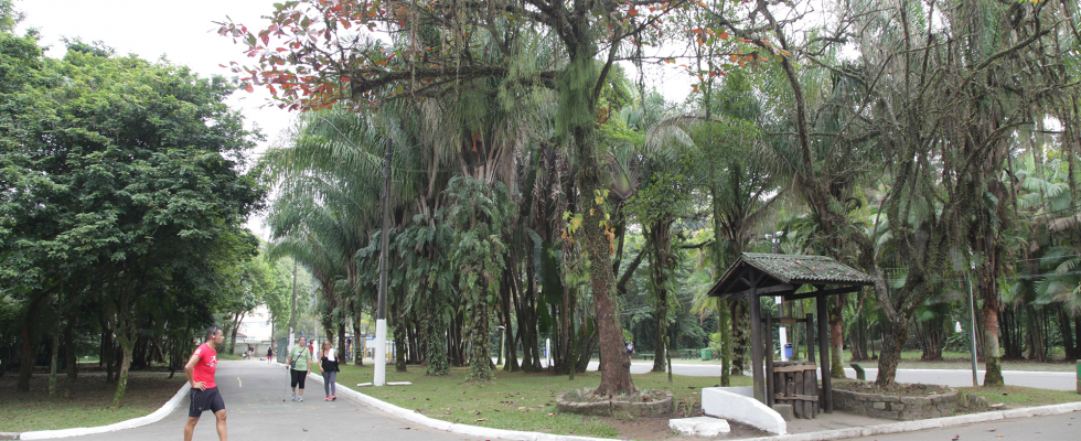 Jardim Botânico de Santos tem programação especial de Natal neste fim de semana