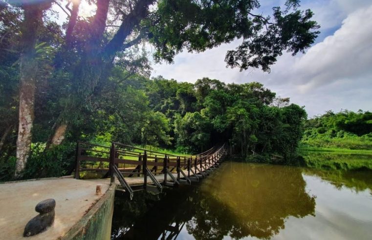 Encontro em Santos discute melhoria de qualidade ambiental