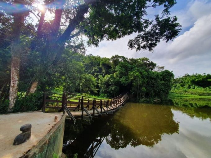 Encontro em Santos discute melhoria de qualidade ambiental