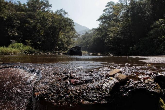 No Dia Mundial da Água, Santos lança programa de análise e preservação de nascentes