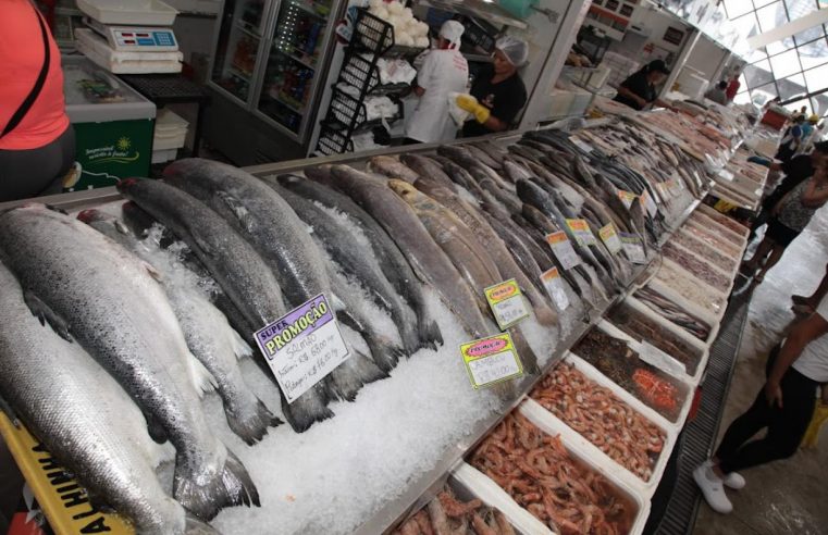 Mercado de Peixes em Santos espera aumento de 60% nas vendas