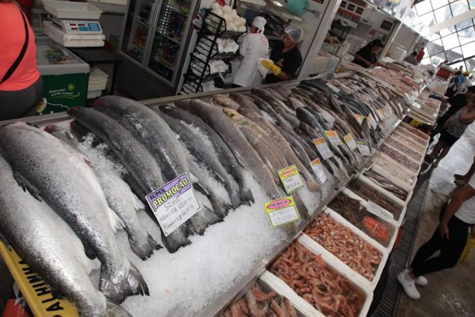 Mercado de Peixes em Santos espera aumento de 60% nas vendas