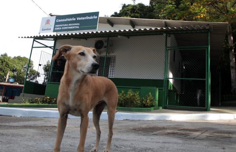 Monte Cabrão ganha primeiro consultório veterinário