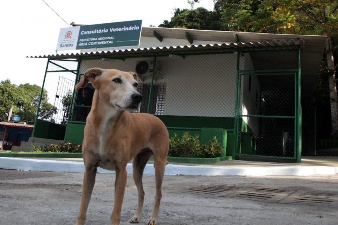 Monte Cabrão ganha primeiro consultório veterinário