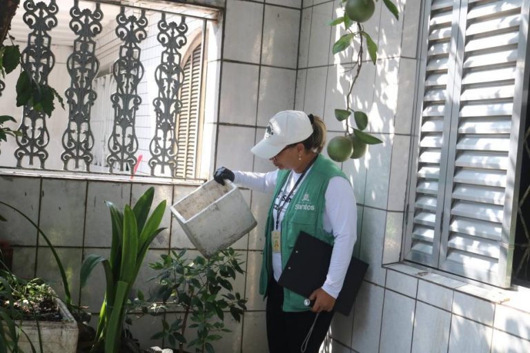 Santos intensifica ações contra o Aedes aegypti antes do Carnaval. Mutirões, nebulização e educação são destaques para conter o mosquito da dengue.