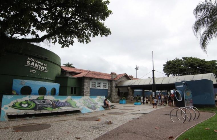 Aquário de Santos: Abril tem ações educativas para todas as idades