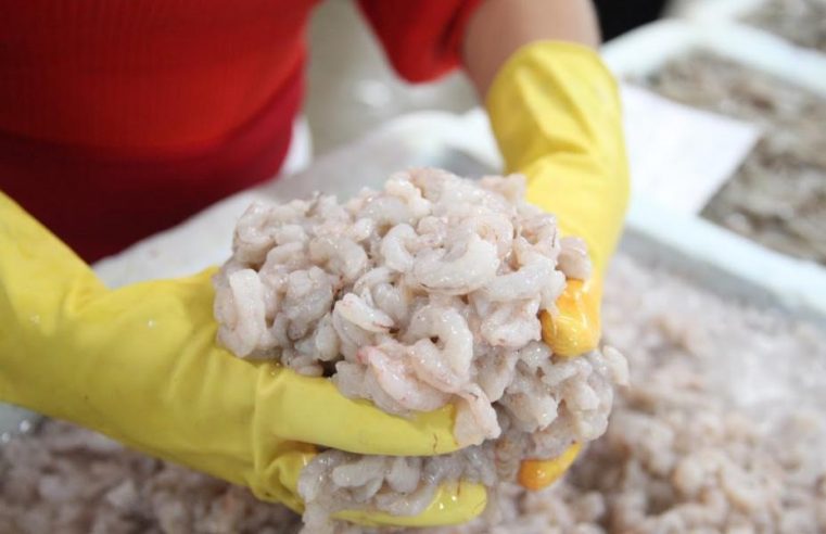 Festival do Camarão em Santos é prorrogado no Mercado de Peixes