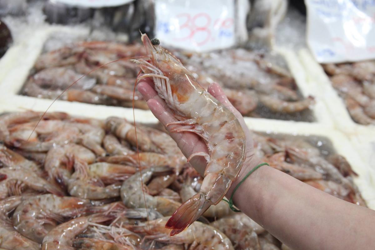 Festival do Camarão em Santos tem descontos a partir de R$ 29,99kg