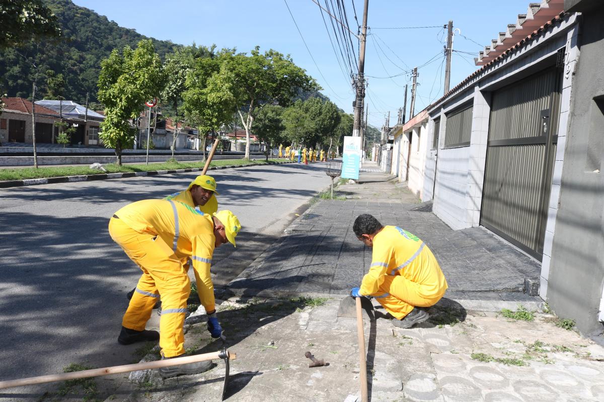Santos alerta para pesquisa falsa sobre Viva o bairro