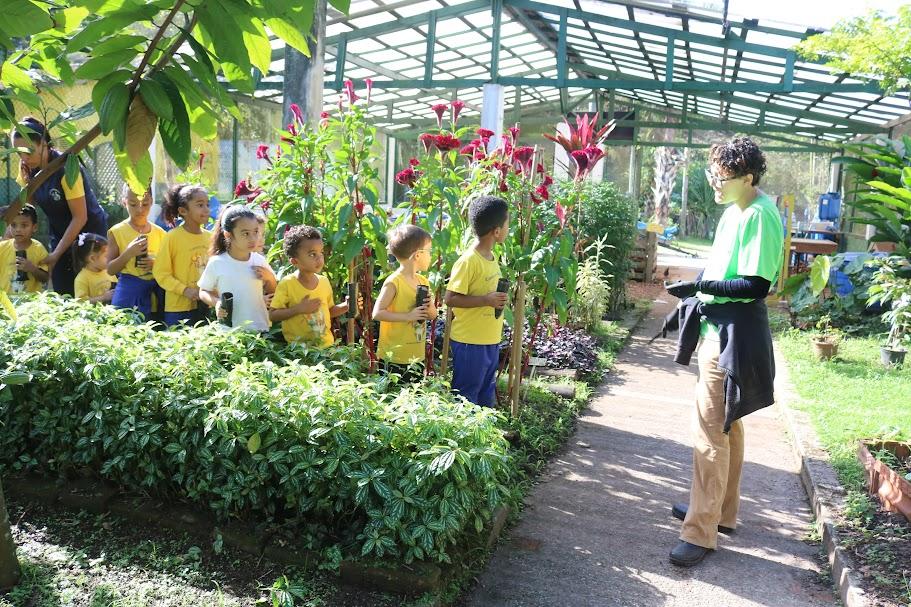 Santos celebra o Meio Ambiente com mais de 40 atividades gratuitas