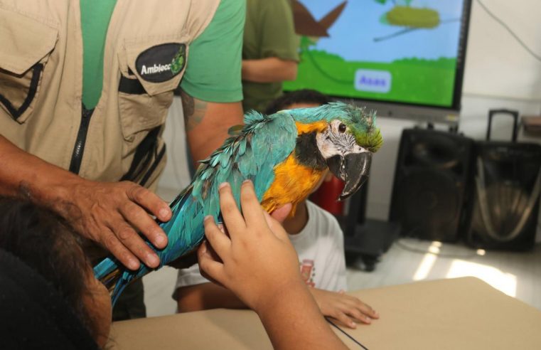 Alunos do Morro do José Menino aprendem sobre a conservação de aves