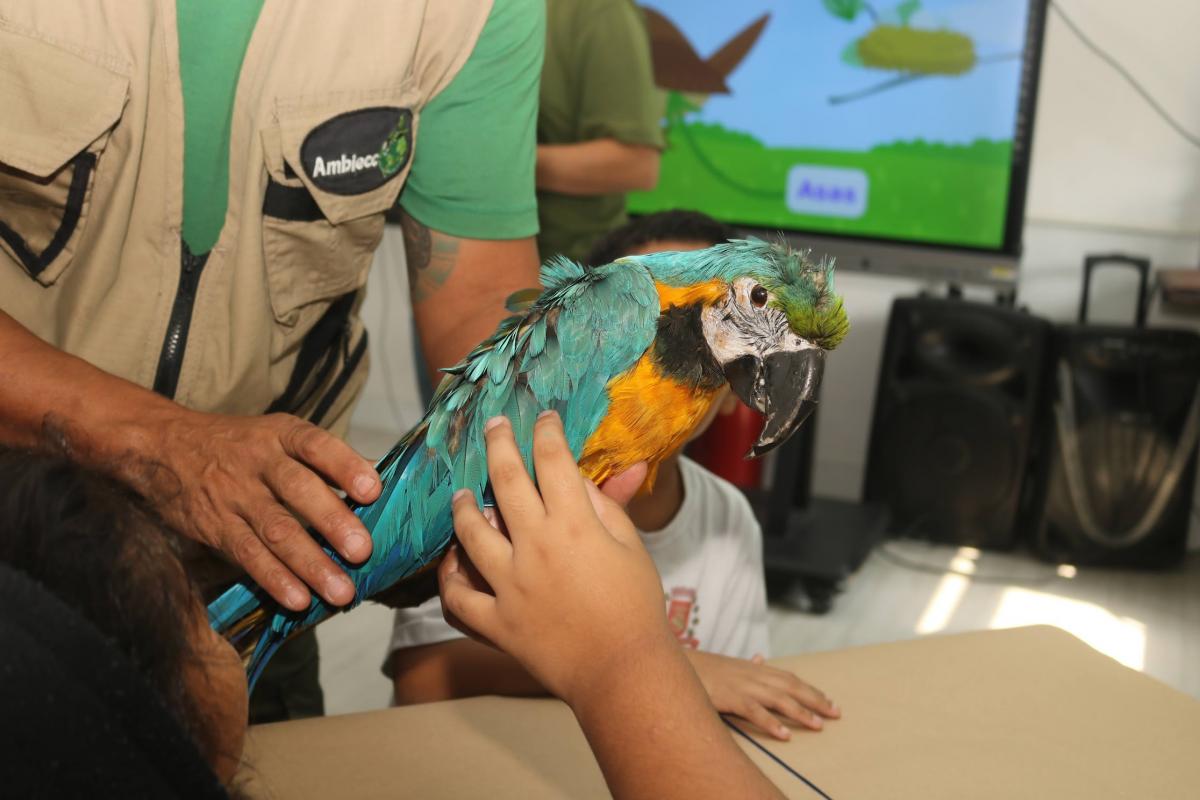 Alunos do Morro do José Menino aprendem sobre a conservação de aves