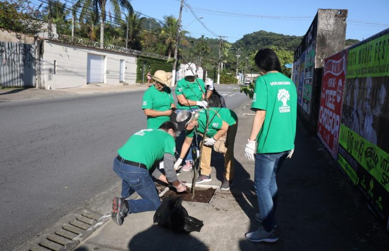 Plantio de árvores reúne voluntários em ação ambiental na Nova Cintra