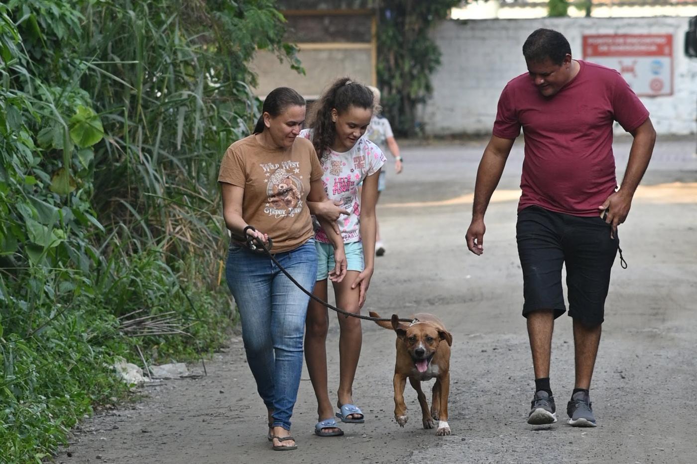 Codevida oferece vacina gratuita para cães em Santos