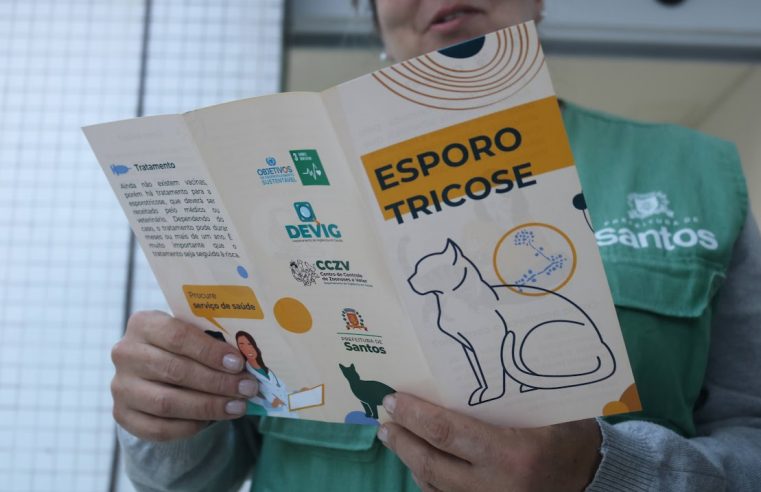 Esporotricose: Santos realiza ação educativa para alertar população no Morro do São Bento