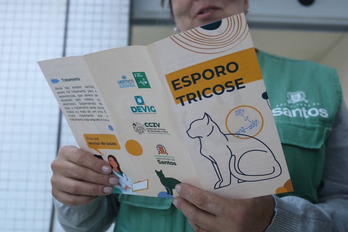 Esporotricose: Santos realiza ação educativa para alertar população no Morro do São Bento