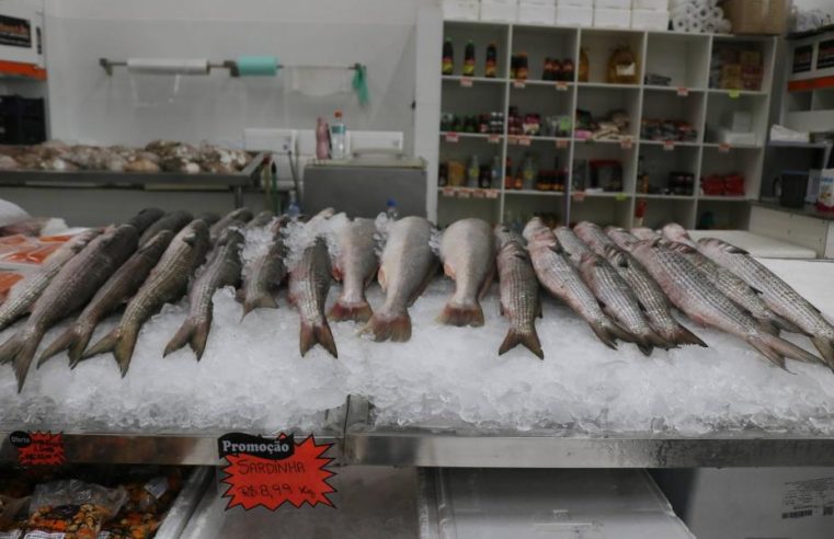 Festival da Tainha agita Mercado de Peixes