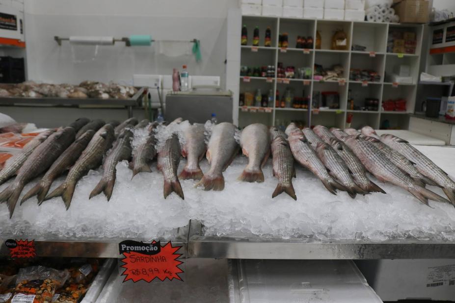 Festival da Tainha agita Mercado de Peixes
