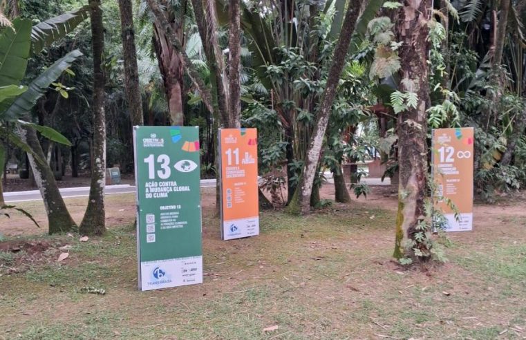 Exposição leva arte e reflexão aos moradores da Área Continental de Santos