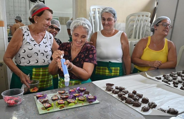 Fundo Social de Solidariedade de Santos abre inscrições para cursos gratuitos