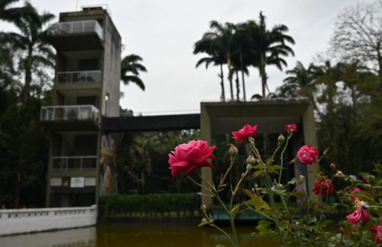 Primavera colore Santos e destaca o Jardim Botânico Chico Mendes