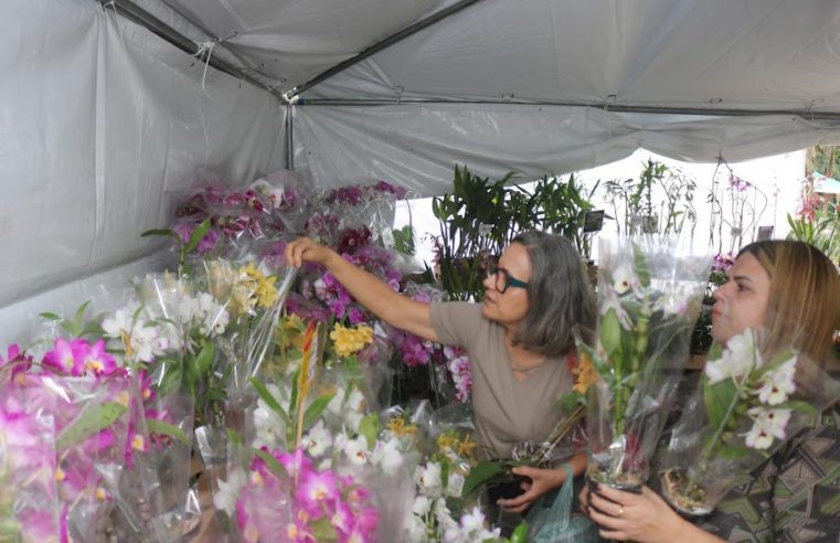 Festival de Orquídeas, Suculentas e Flores movimenta o Jardim Botânico de Santos