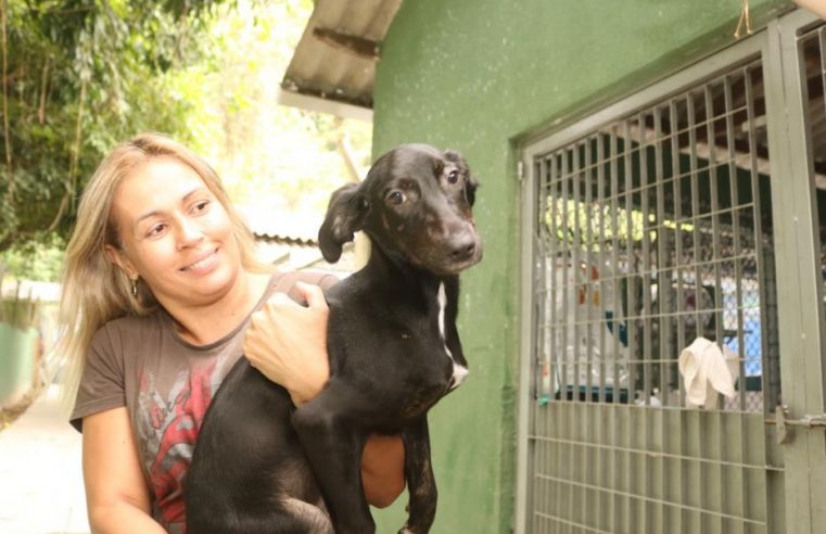 Codevida promove feira de adoção de cães e gatos em Santos