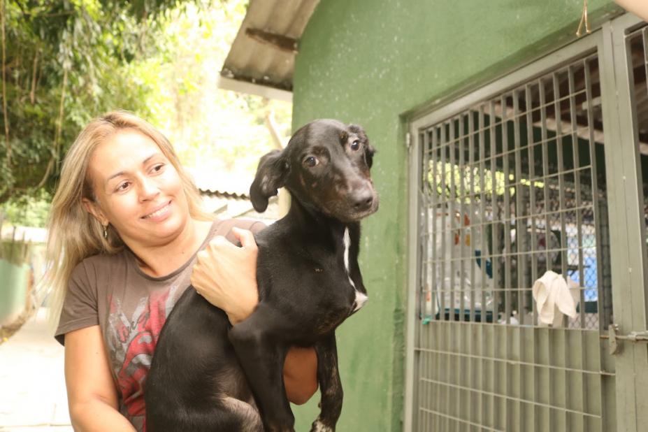 Codevida promove feira de adoção de cães e gatos em Santos