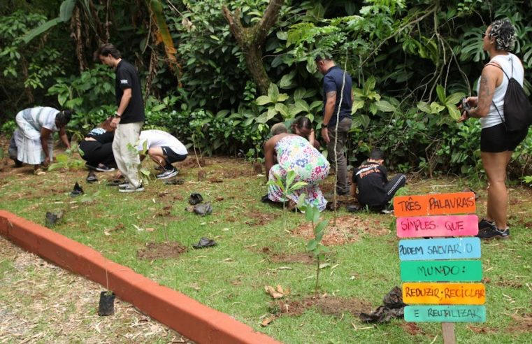 Parque dos Morros recebe 100 novas árvores nativas em ação ambiental