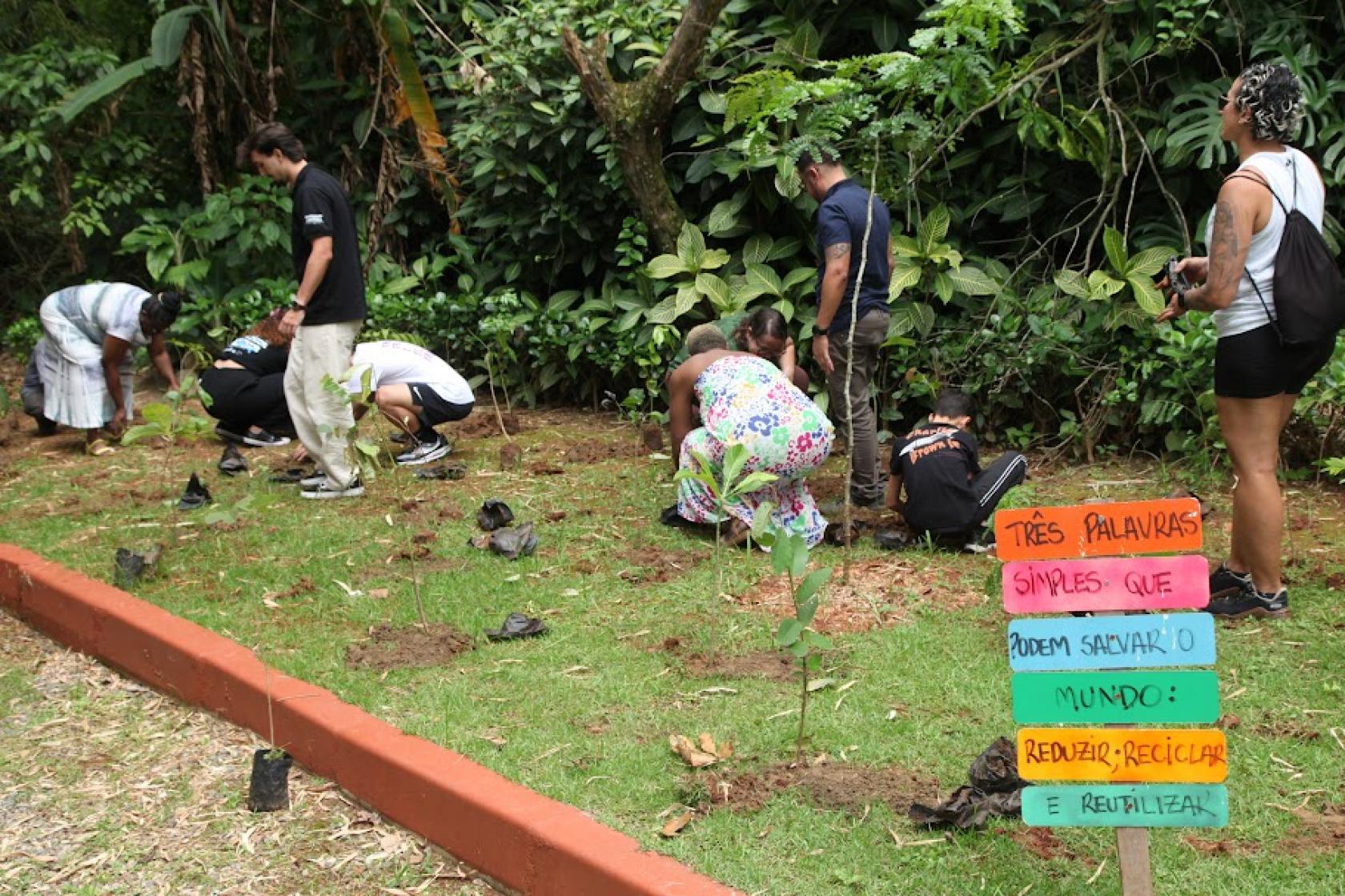 Parque dos Morros recebe 100 novas árvores nativas em ação ambiental