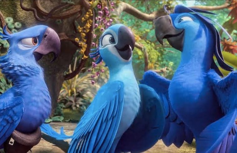 Vila Criativa da Vila Nova promove sessão inclusiva com exibição do filme Rio