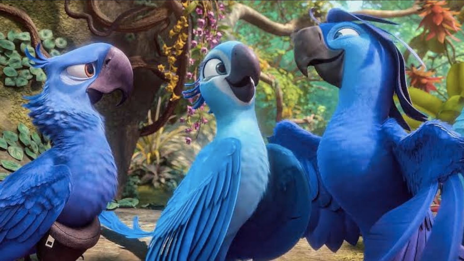 Vila Criativa da Vila Nova promove sessão inclusiva com exibição do filme Rio