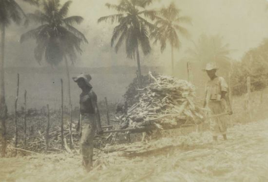 Oficina no Engenho dos Erasmos celebra o Mês da Consciência Negra