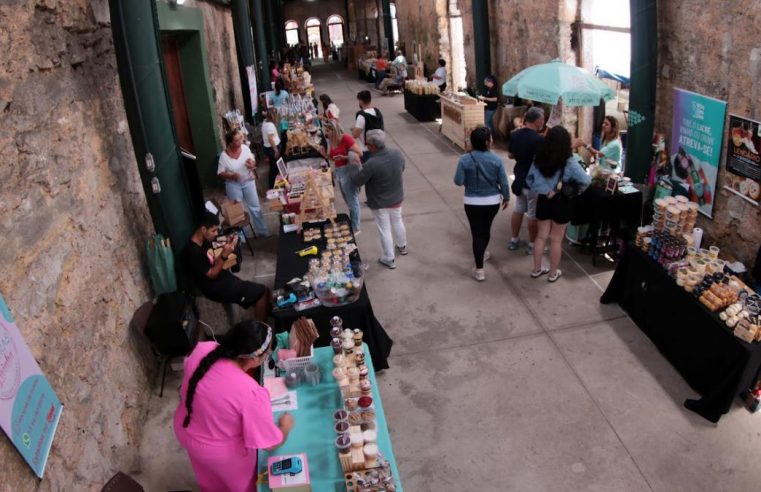 Casa da Frontaria Azulejada recebe Festival Criativo