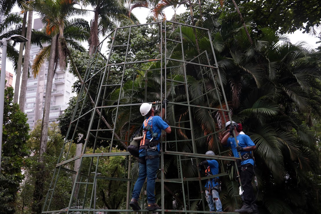 Natal 2025 em Santos ilumina Zona Noroeste, Morros e Área Continental com decoração especial