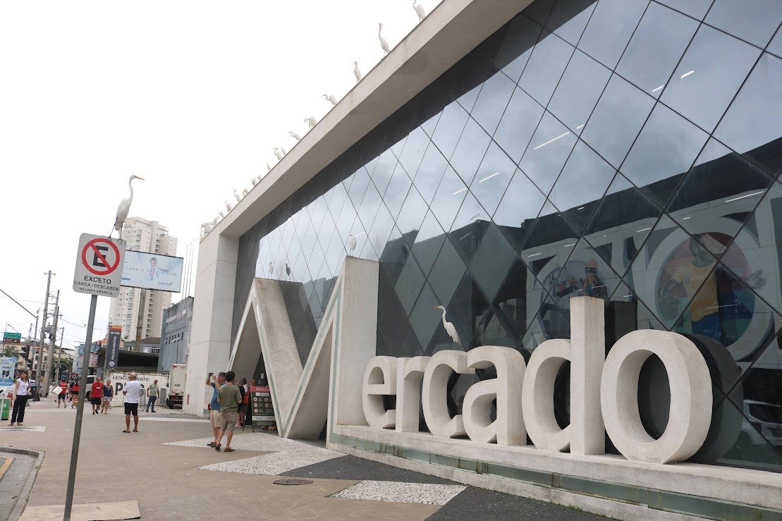 Festival do Camarão Cinza agita o Mercado de Peixes de Santos