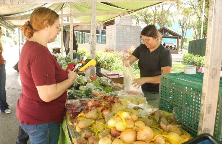 Últimas feiras orgânicas de Santos de 2025 acontecem nos dias 20, 21 e 27