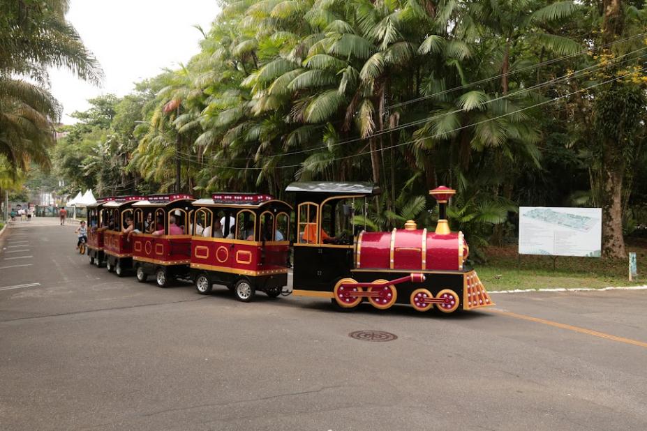 Passeio em trenzinho elétrico no Jardim Botânico segue até janeiro