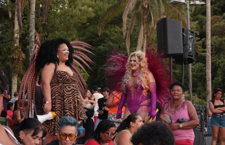 Parada Santos na Lagoa reúne público na Nova Cintra com shows e celebração LGBT+